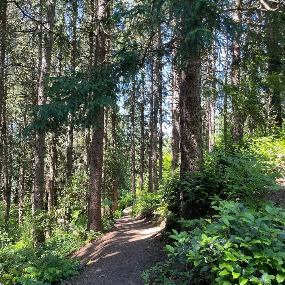 Meet your Posher, Destiny